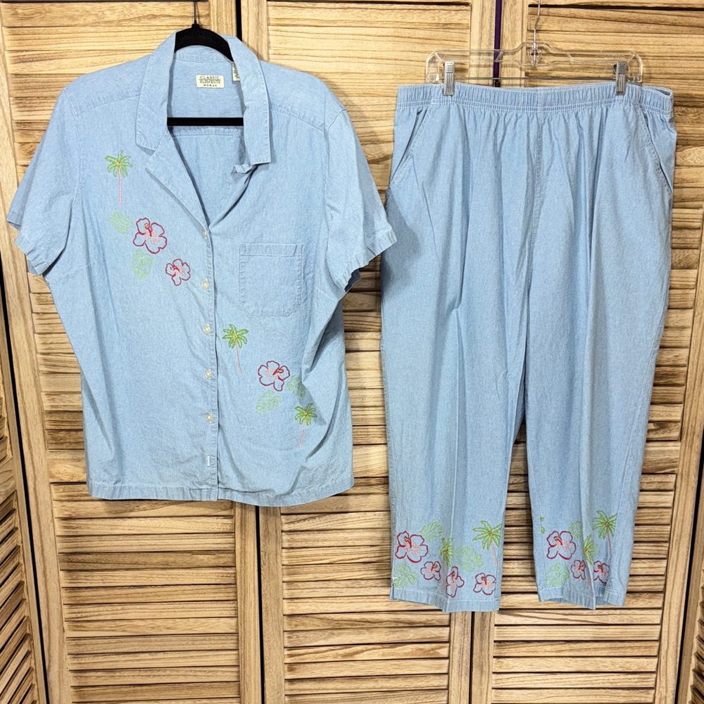 Classic Elements 2-Piece Button Down Top and Elastic Pull On Pants Size 20-22